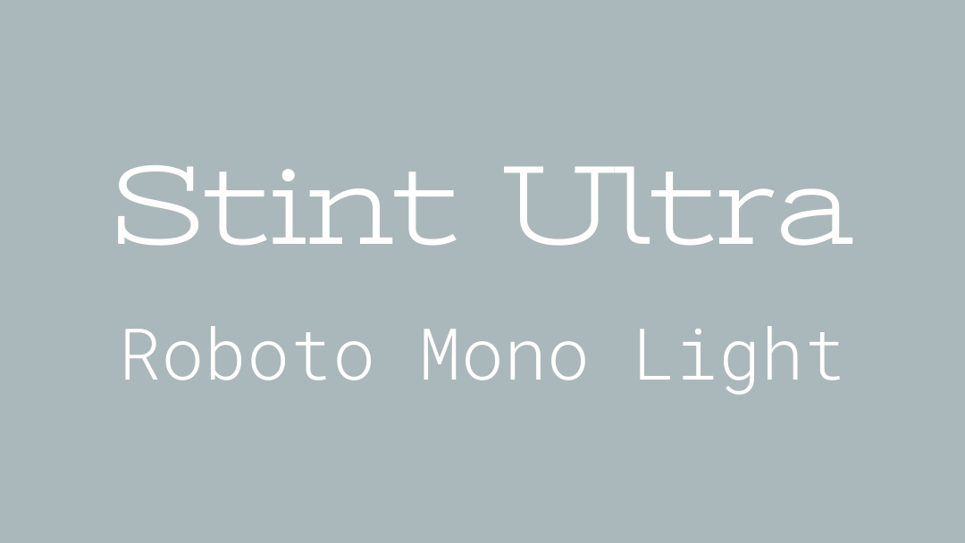 This image shows the stint ultra and roboto mono light font pairing.
